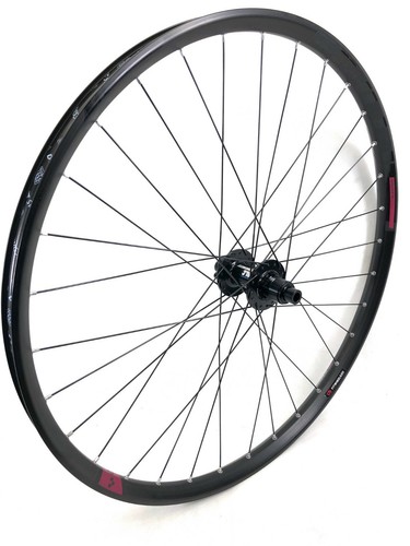 Ruota posteriore swiss - dt,