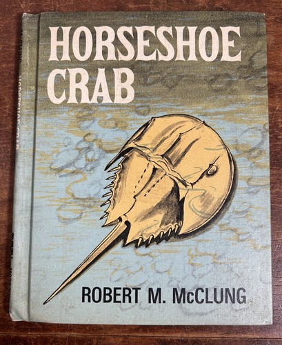 Horseshoe crab robert - horseshoe,