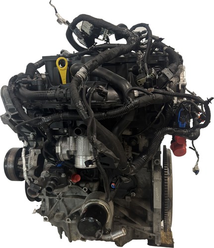 Motore per ford focus iii - per,