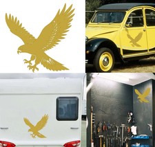 Aquila Versione 7B, Adesivo In