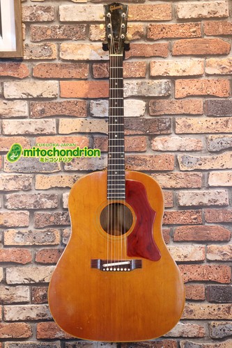 Gibson 1967 50adj - 1967, j-50adj