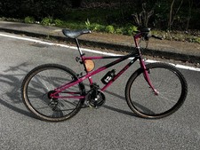 MTB Bianchi Thomisus ragno