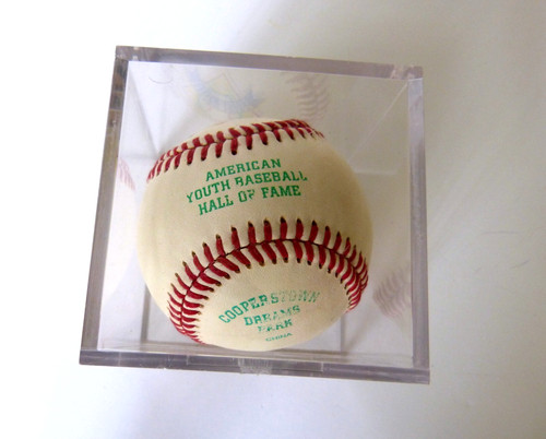 American youth baseball hall - american,
