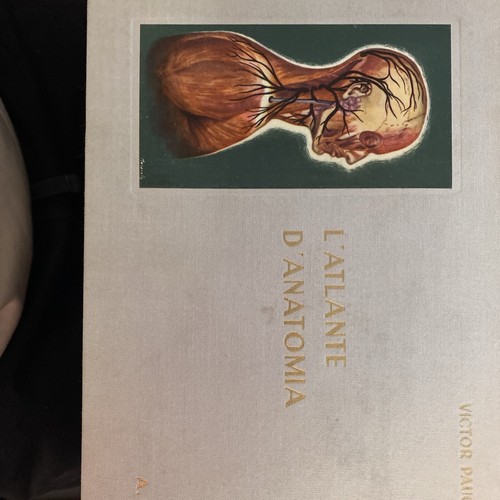 Pauchet atlante anatomia - pauchet,