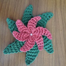 Stella Di Natale, Addobbo