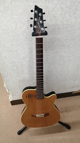 Chitarra elettrica acustica