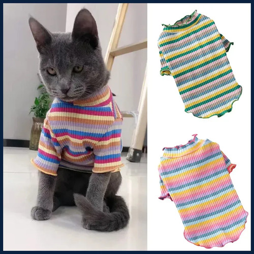 Camicia gilet gatto sphynx - gilet,