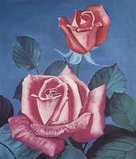 Gian marco montesano - marco,