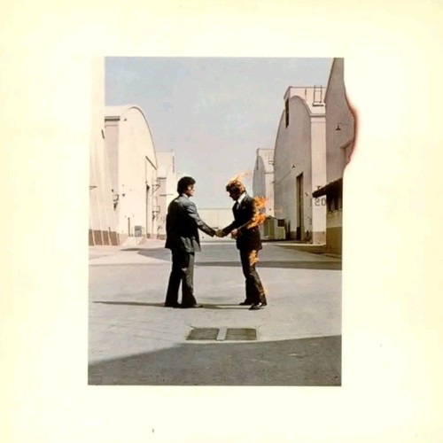 Pink floyd vinile 33 - pink, 12"