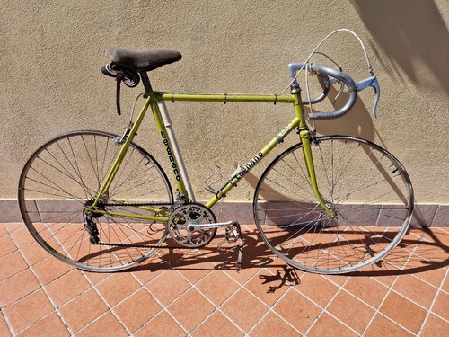 Bicicletta corsa vintage - da,