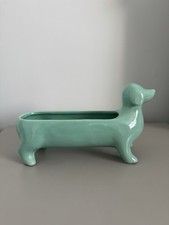 Bassotto Salsiccia Cane