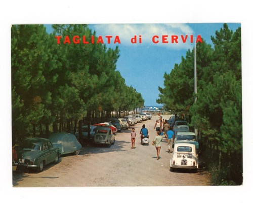 Tagliata cervia pineta auto - tagliata,