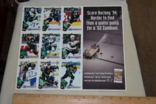 1994-95 Dallas Stars Score