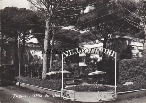 Fregene villa dei - dei, pini