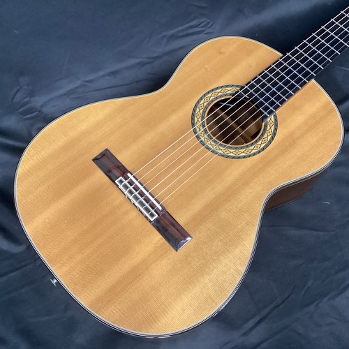 Chitarra classica elettrica