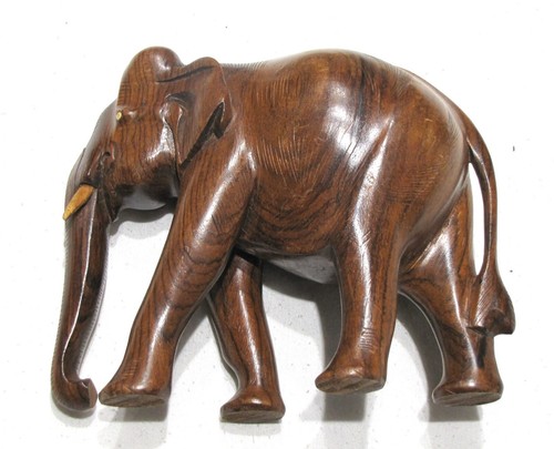 Elefante indiano grande alto