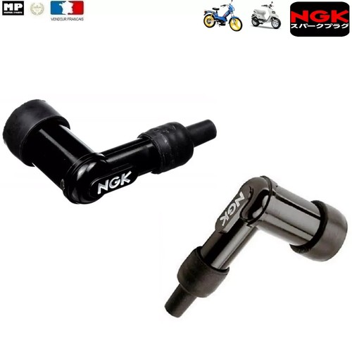 Antiparasite ngk lb01f - antiparasite,