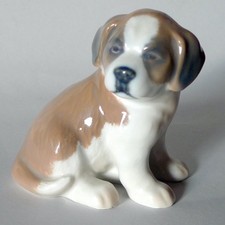 Cucciolo di San Bernardo-Ed