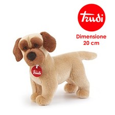 CANE ALANO ADALBERTO IN