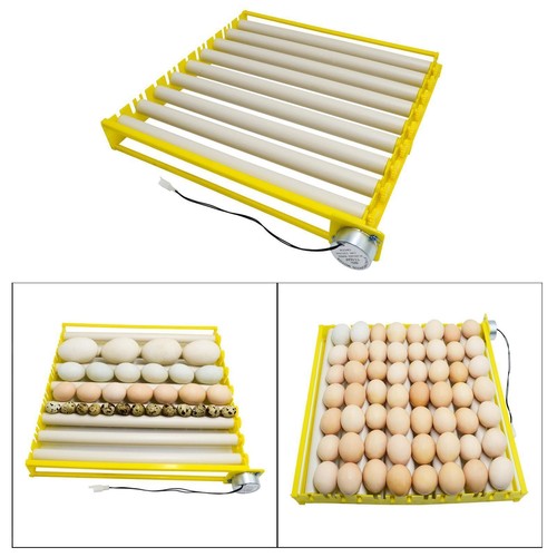 Plastica uovo gallina - plastica,
