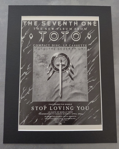 Toto the seventh one - toto,