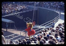 San Diego Chicken Mascot