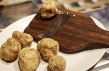 Precious fresh white truffle