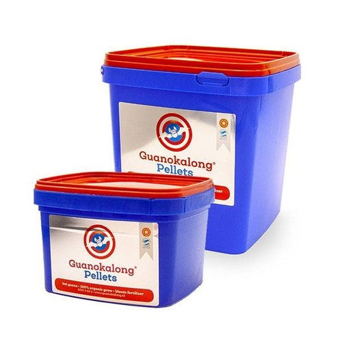 Guano kalong pipistrello - guano,