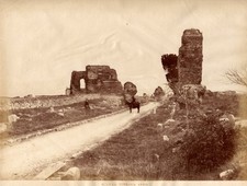 Alinari - Roma, la Via Appia