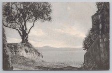 Sirmione Lake Garda Trees