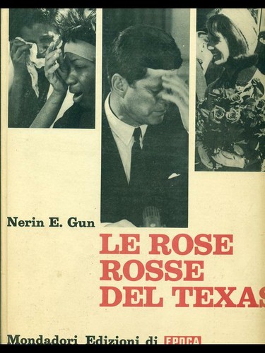 Rose rosse del texas - rose,
