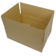 Cartone pieghevole 250x175x100
