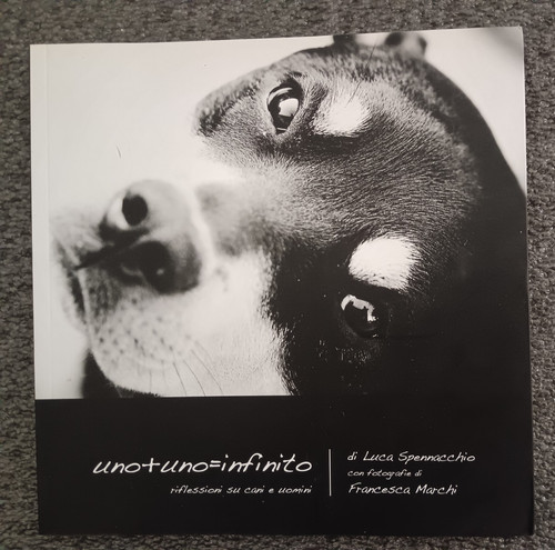 Luca spennacchio - spennacchio,