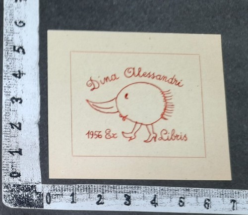 Wunderkammer exlibris - wunderkammer, g