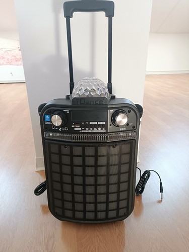 Karaoke con microfoni - 2,