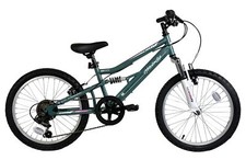 Mountain bike Dallingridge