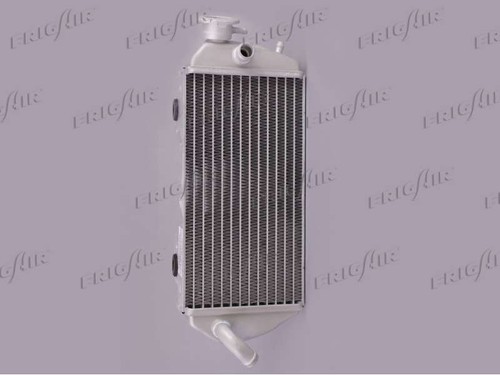 Bfs700504513 radiatore - bfs700504513,