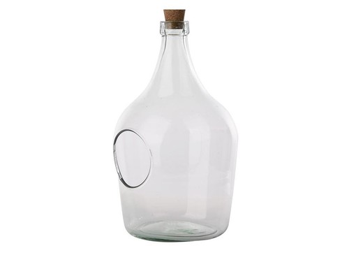 Terrarium aperto trasparente - aperto,