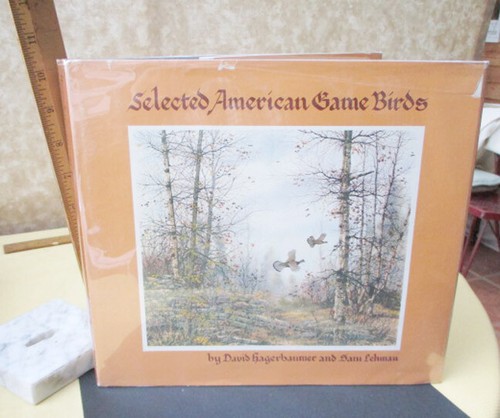 Selected american game - selected,