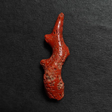 Corallo rosso italiano - , lucido