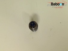 Tappa forcella anteriore