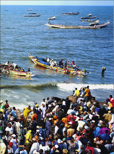 2006 stampa pescatori corsa - 2006,