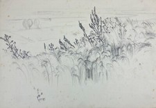 Disegno Hans Salzmann