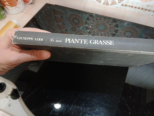 Giuseppe lodi le mie - -, piante