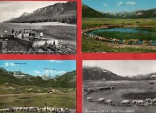 ROCCA DI MEZZO PIAN DI PEZZA- LOTTO DI 4 CARTOLINE D'EPOCA BN-L'AQUILA