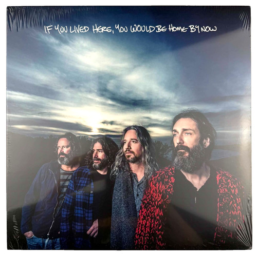 Chris robinson brotherhood - robinson, if