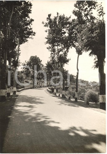 1935 viterbo via cassia tratto - viterbo,
