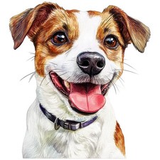 2 adesivi Jack Russell Terrier