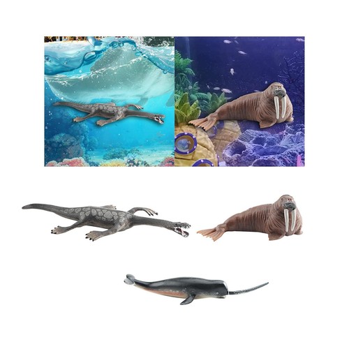 Figuren marine animali - marine,