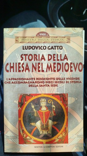 Ludovico gatto storia - gatto,
